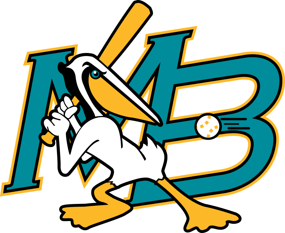 Myrtle Beach Pelicans 1999-2006 Primary Logo iron on paper